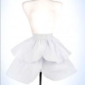 LAURA BYRNES CALIFORNIA TWILL UNDERSKIRT 4X